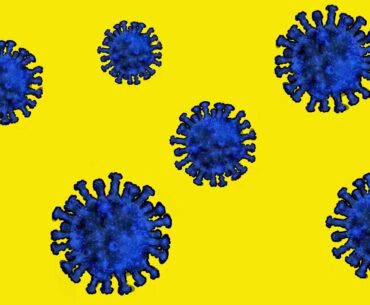 Extra Joss for Immune Booster