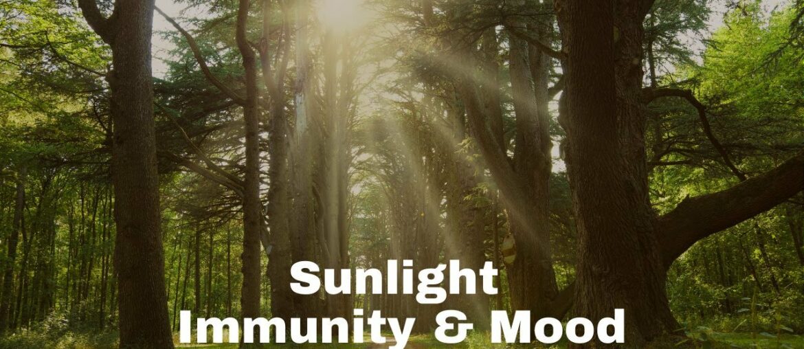 Sunlight, Immunity and Mood: Exploring the Connection