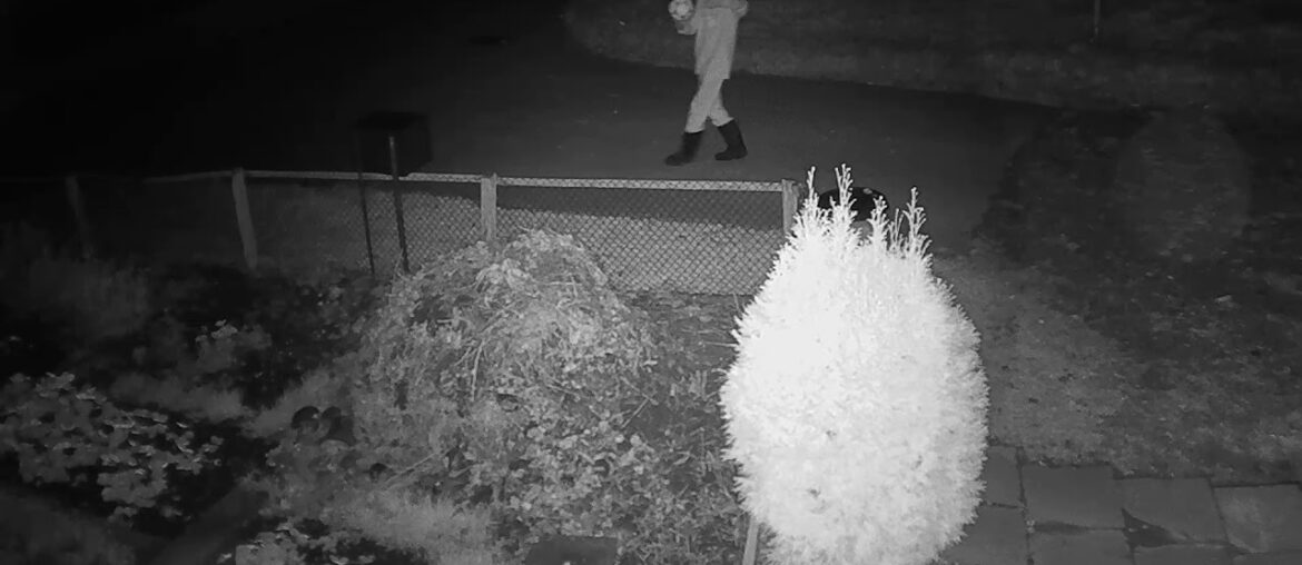 2020 10 31   What Joe Biden will do against the Coronavirus