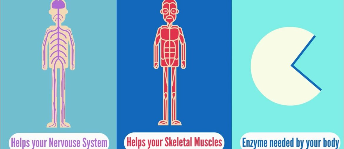 Why Vitamin B1 is Important