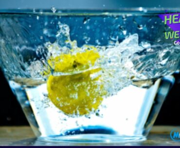 Health & Wellness (Day 4) || Your Body's Defence System || with Dr Gandy Madzalo