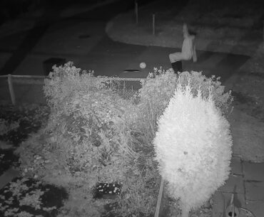 2020 10 28   Coronavirus Purge, stupid style