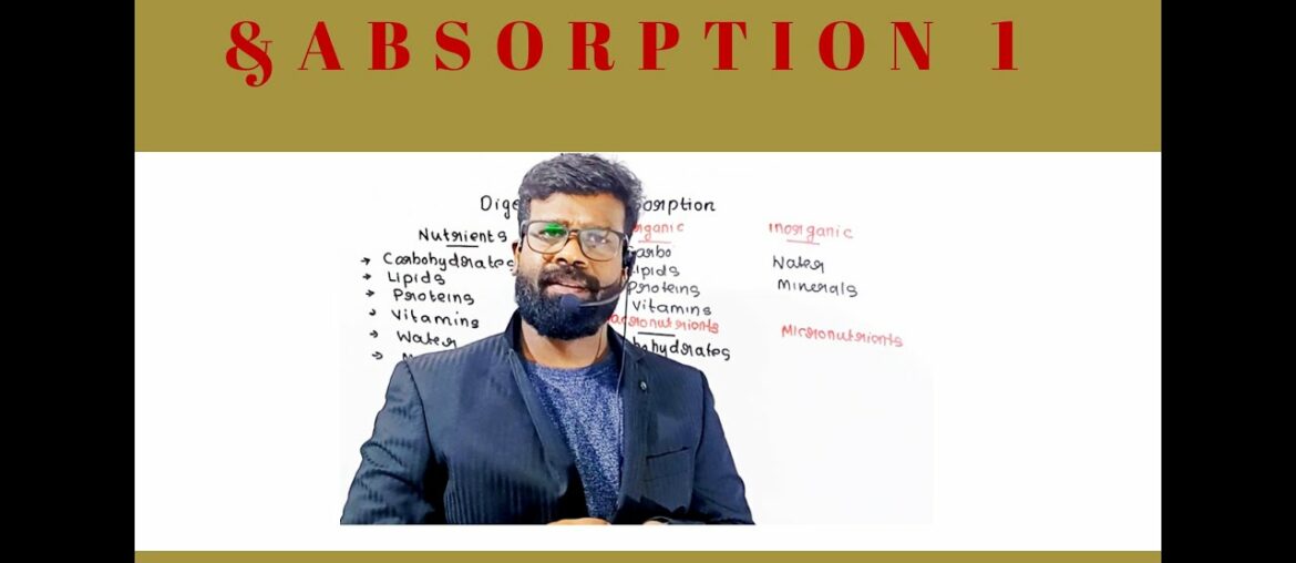 DIGESTION AND ABSORPTION/NUTRIENTS /TYPES OF NUTRITION