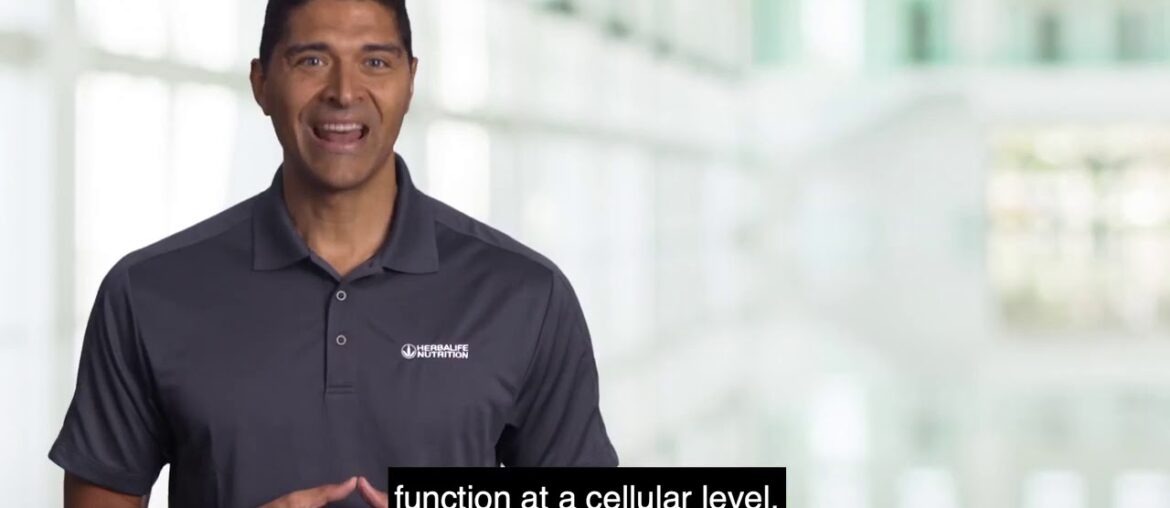 Formula 2 Multivitamin Complex  Know the Products