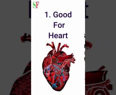 Avocados Benefits | Short Fitness