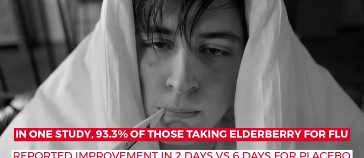 Elderberry's Immune Boosting Secrets | HealFast Immune Support