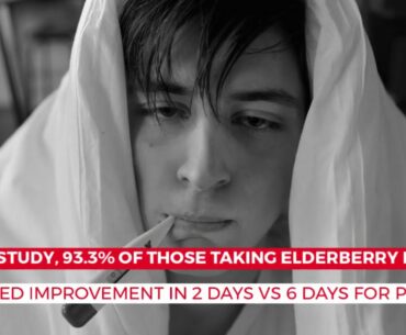 Elderberry's Immune Boosting Secrets | HealFast Immune Support