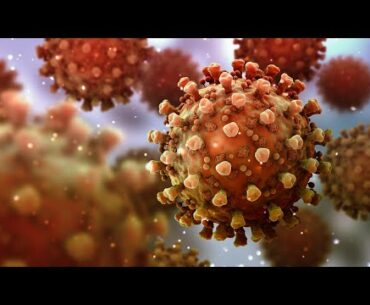 Study Finds ‘Robust’ Cellular Immunity Six Months After Covid 19 Infection