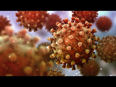 Study Finds ‘Robust’ Cellular Immunity Six Months After Covid 19 Infection