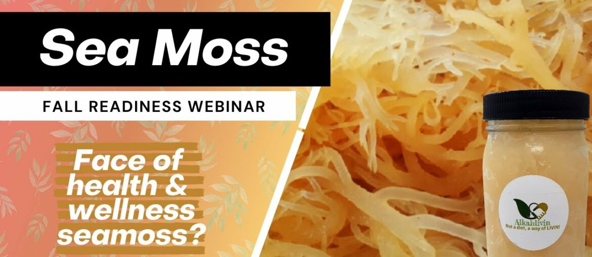 Seamoss - Face of health and wellness?