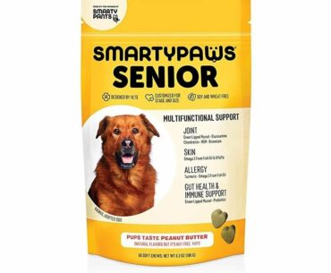 Dog Vitamin and Supplement: Glucosamine, Probiotics for Gut Health & Immune Support, Fish Oil For D