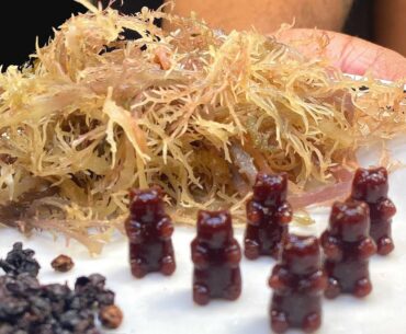 Sea Moss Elderberry Gummies