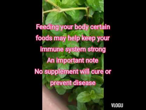Immune system boosters &  Green tea benefits