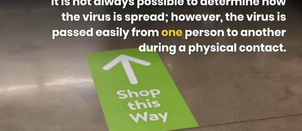 How Can We Prevent Coronavirus Spread?