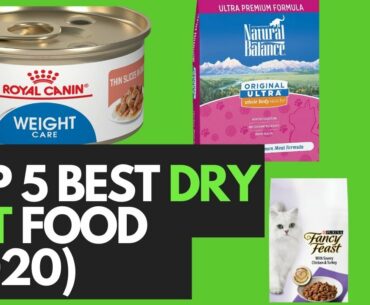 top 5 best dry cat food (2020)