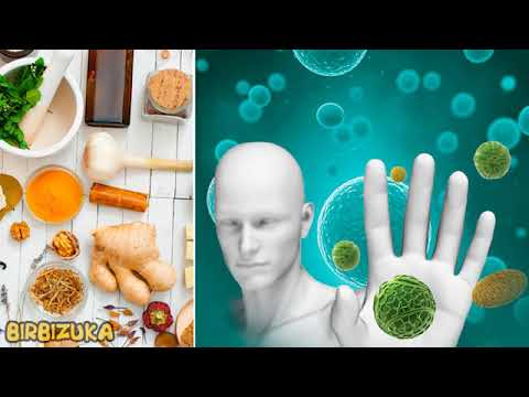 DURING THE VIRUS PERIOD: STRENGTHEN YOUR IMMUNE SYSTEM WITH HEALTHY PLANT FOODS