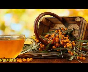 STRENGTHEN THE IMMUNE SYSTEM DURING THE FALL