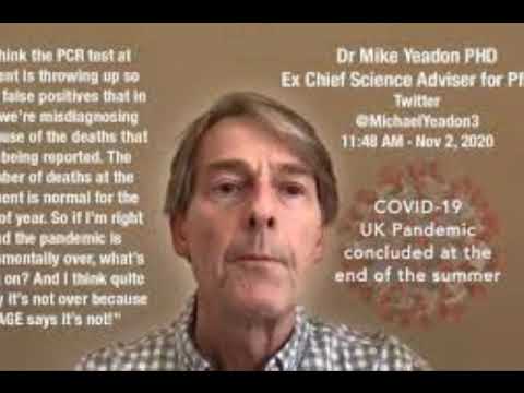Dr Mike Yeadon explains why UK Covid Tests give up to 90% false positives. Ex Pfizer chief scientist
