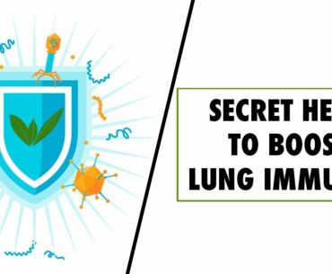 HOW TO CLEANSE & DETOX LUNGS | PROTECTION AGAINST COLD & COUGH | ANDROGRAPHIS - MAGIC HERB | SWISSE