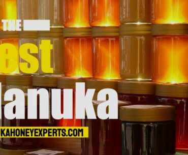 is manuka honey antiviral  (702) 553-4900
