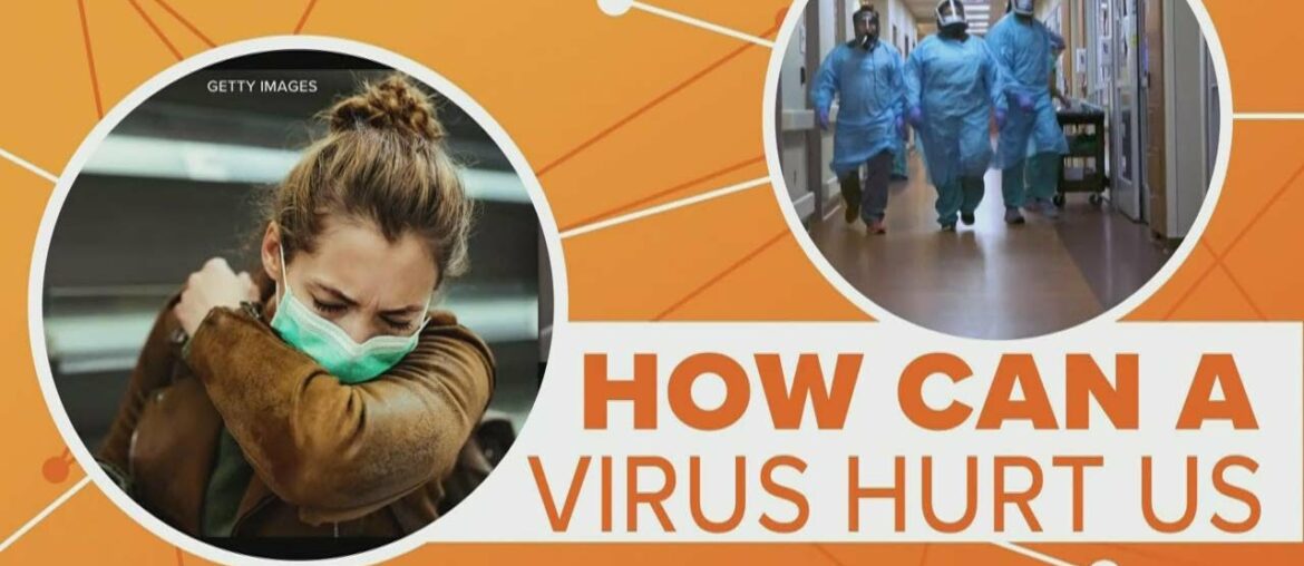 COVID-19 & Immune system response | Connect the Dots