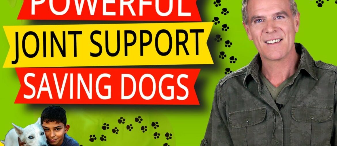 Glucosamine For Dogs (3 Perfect NATURAL Supplements For Dogs Joint Health)
