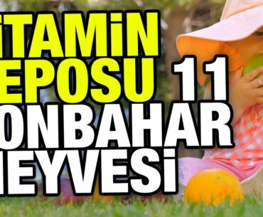 Sonbaharda yemeniz gereken vitamin deposu 11 meyve