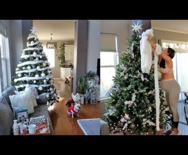 18 Year old Christmas tree - Christmas Decor