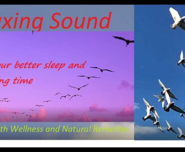 Bird collection - Relaxing Sound - Bird Singing - Health, Wellness and Natural Remedies