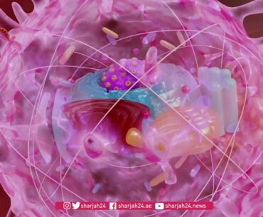 Explainer  How Pfizer's COVID 19 vaccine works