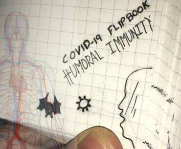 COVID19 FLIPBOOK ANIMATION || HUMORAL IMMUNITY ||  Dranren Carbonell