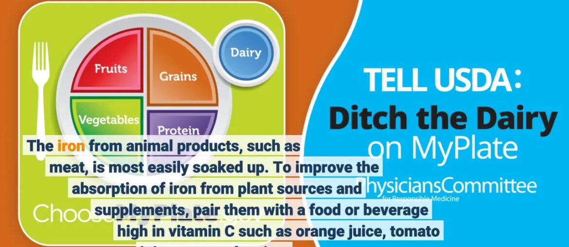 Not known Details About Nutritional Needs During Pregnancy - ChooseMyPlate