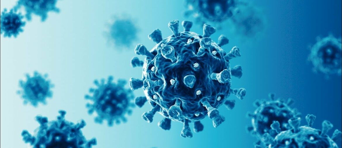 Tcells offer adequate coronavirus protection study suggests 2020 11 11 en