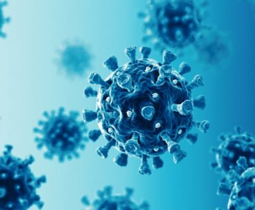 Tcells offer adequate coronavirus protection study suggests 2020 11 11 en