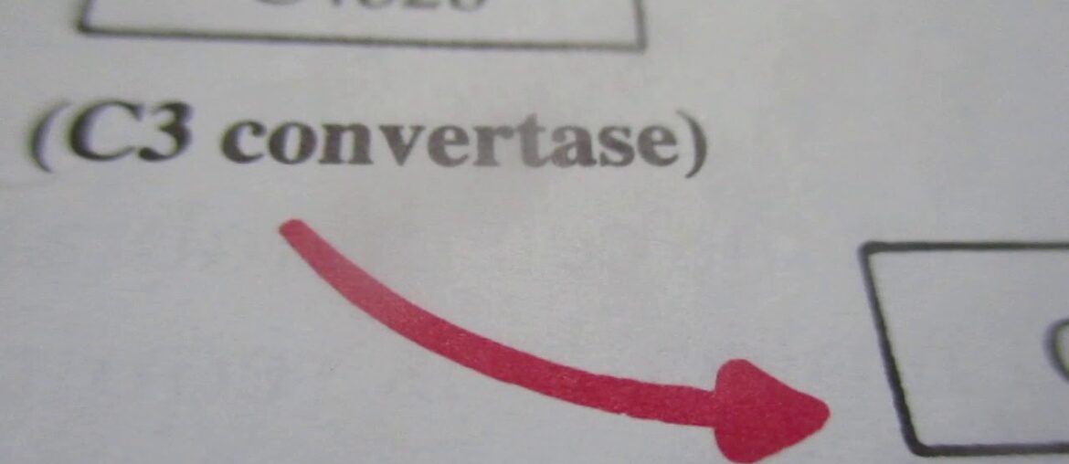 Immune System and covid tests don't work pt.2