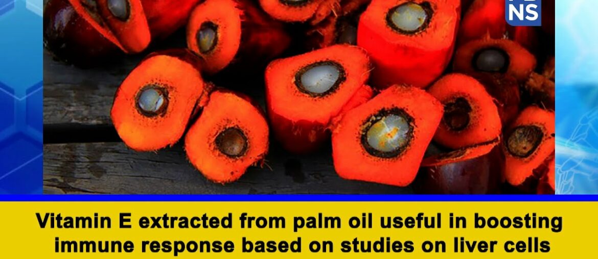 Vitamin E extracted from palm oil useful in boosting immune response based on studies on liver cells