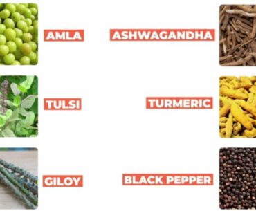 Immunity boosting foods in India | Neuherbs Triple Immune C