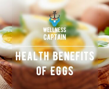 Eggs Health Benefits - Wellness Captain
