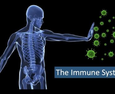 Fruits and Vegetables Consumption & Immunity_Emily Woo