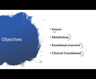 Slide Set 2  Fat Soluble Vitamins YB