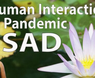 Five (5) Ways To Get Daily Human Interactions In The Coronavirus / Covid-19 Pandemic SAD Season