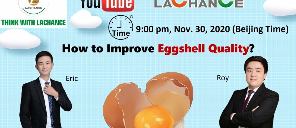 How to improve eggshell quality? | Egg broken rate | Calcium,vitamin D3|Dirty eggs|Bile Acids|Stress