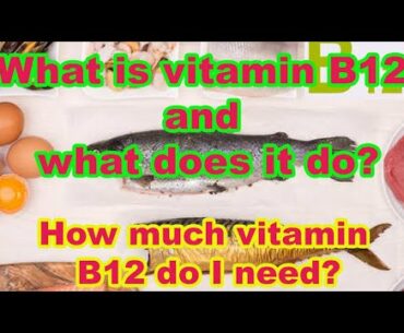 What is vitamin B12 and what does it do?