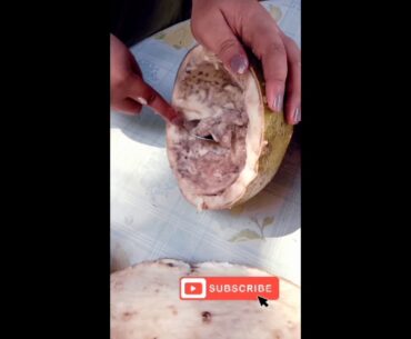 Easy way making Miracle Fruit Juice!