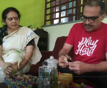 #COVID -19 IMMUNITY BUILDUP INITIATIVE PART 2