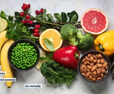 The 6-Second Trick For Nutrition and pregnancy - ScienceDaily