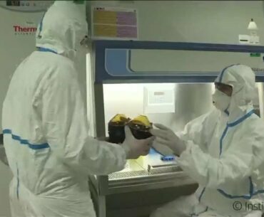 How long Covid-19 survivors are protected from the disease?