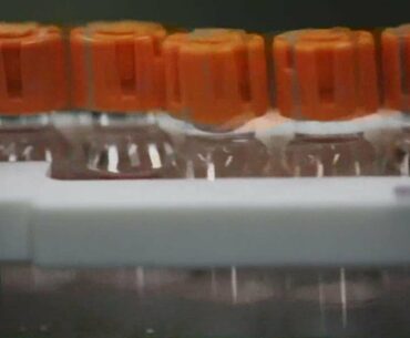 Health Check: Breaking down the COVID-19 vaccines