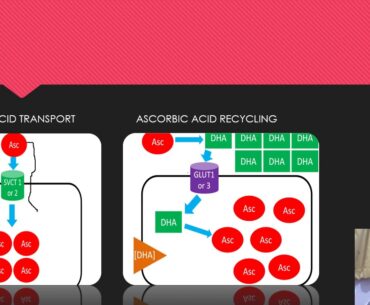 Group9/Vitamin C overdose/foodtoxicity/049517
