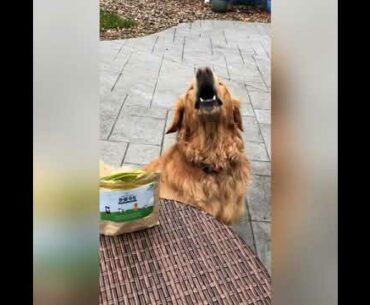 Eazy, say Vitamins!!